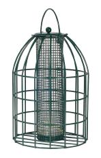 Cj Paris Peanut Feeder